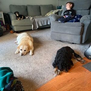 Meet your Posher, Scott